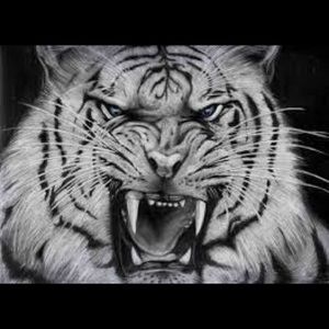 Meet your Posher, Sami